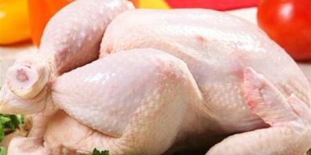 بالبلدي : هل من الآمن تناول الدجاج أثناء إنفلونزا الطيور؟