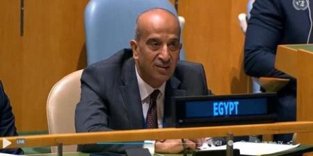 بالبلدي: مصر تطالب مجلس الأمن باستصدار قرار يمنع تصدير السلاح لإسرائيل belbalady.net