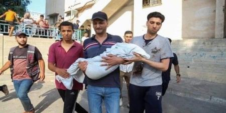 بالبلدي: الأمم المتحدة تؤكد أن ربع سكان غزة على بعد خطوة واحدة من المجاعة