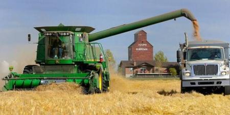 ارتفاع العقود الآجلة لأسعار القمح عالميًا بالبلدي | BeLBaLaDy
