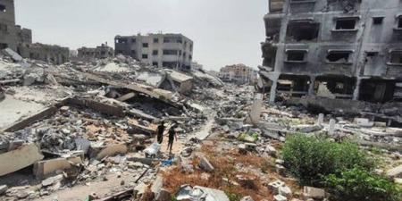 بالبلدي: مقررة الأمم المتحدة: ما يحدث في غزة مأساة غير مسبوقة.. فيديو belbalady.net