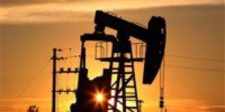 بالبلدي : ارتفاع أسعار النفط العالمية بعد تصريحات عن نمو الاقتصاد الأمريكي