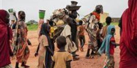 بالبلدي : الفاو: نحذر من مجاعة في السودان تبدأ من دارفور