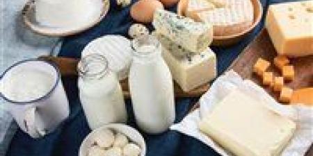 بالبلدي : انخفاض أسعار اللبن والسمنة في الأسواق.. وكيلو الجبنة البيضاء يتراجع 29 جنيها