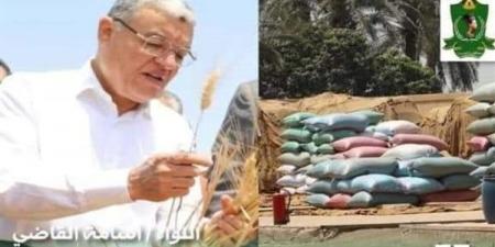 بالبلدي: توريد 35 ألف طن من محصول القمح بالشون والصوامع الحكومية بالمنيا belbalady.net