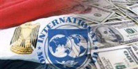 بالبلدي: صندوق النقد الدولي: الحكومة المصرية استوفت 7 إصلاحات هيكلية ولم تلتزم بـ 8 أخرى