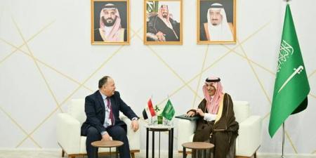 وزير المالية يدعو السعوديين للاستثمار في مصر والاستفادة من الحوافز بالبلدي | BeLBaLaDy