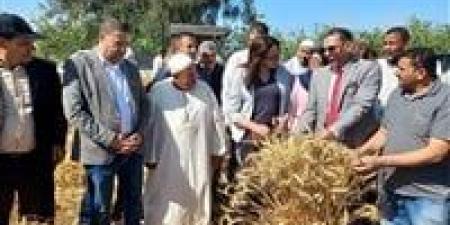 بالبلدي : نائب محافظ البحيرة تتابع حصاد محصول القمح بقرية نديبة وانتظام التوريد للشون والصوامع