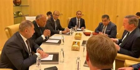بالبلدي : وزير الخارجية يلتقي نظيره البريطاني على هامش اجتماعات المنتدى الاقتصادي العالمي