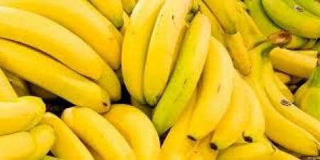 بالبلدي : الأخضر أفضل من الأصفر.. خبيرة تفجر مفاجأة بشأن تناول الموز