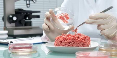 بالبلدي : دراسة صادمة بخصوص اللحوم النيئة.. هل تحتوي على بكتيريا مقاومة للمضادات الحيوية؟