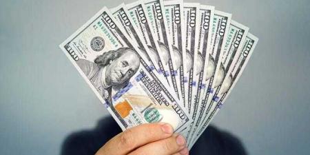 بالبلدي: سعر الدولار اليوم الأربعاء 1-5-2024 مقابل الجنيه المصري