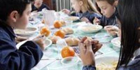 بالبلدي : دراسة: إجبار الأطفال على أكل أطباقهم كاملة يسبب مشاكل في الشبع