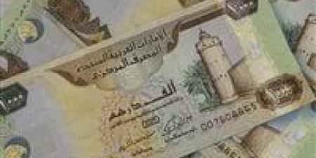 بالبلدي : سعر الدرهم الإماراتي مقابل الجنيه المصري اليوم الجمعة 3 مايو 2024