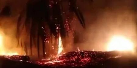 بالبلدي: السيطرة على حريق في زراعات النخيل بأسوان belbalady.net