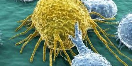 بالبلدي : ما أهمية اختبار الخلايا السرطانية المتبقية قبل العلاج بزراعة خلايا الدم؟