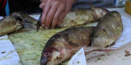 بالبلدي : الصحة تكثف حملاتها على المنشآت الغذائية وأماكن بيع الأسماك المملحة