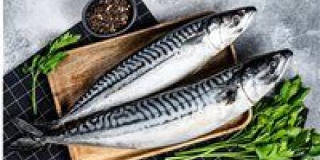بالبلدي: أسعار السمك اليوم الأحد 5 - 5 – 2024 في السوق المصري
