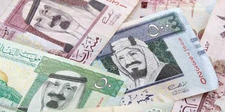 بالبلدي : سعر الريال السعودي أمام الجنيه المصري اليوم الأحد
