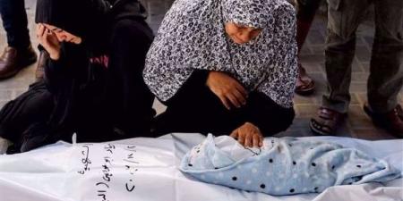 بالبلدي: 6 شهداء في قصف إسرائيلي استهدف مدرسة تابعة لـ«الأونروا» بقطاع غزة belbalady.net