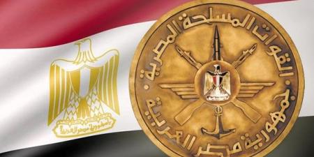 بالبلدي: الجيش المصري يُنفذ عملية كبرى في سماء غزة بالتعاون مع الإمارات لإسقاط 38 طنًا من المساعدات على القطاع