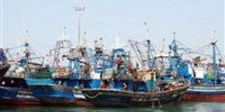 بالبلدي : ارتفاع كبير لأسعار الأسماك خلال أيام.. نقيب الصيادين يحذر من منع طرق الصيد التقليدية