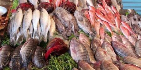 بالبلدي: أسعار الأسماك والمأكولات البحرية اليوم 9 مايو belbalady.net