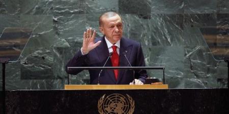 بالبلدي: إردوغان يُعلن دعم تركيا لقادة "حماس" وينتقد موقف المؤسسات الدولية مما يجري في غزة