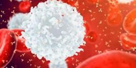 بالبلدي : اكتشاف هدف جديد لـ علاج سرطان الدم
