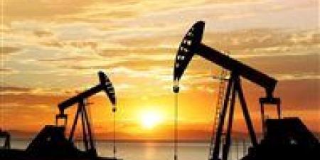 بالبلدي : أسعار عقود النفط تتجه للانخفاض.. وأوبك تتوقع نمو الطلب العالمي