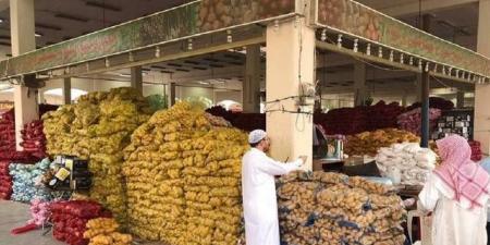 الإحصاء السعودية: معدل التضخم بأسعار الجملة يسجل 3.4 % خلال أبريل 2024 بالبلدي | BeLBaLaDy