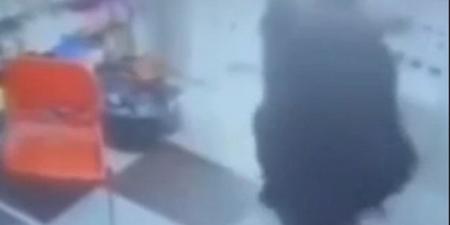 بالبلدي: امرأة منتقبة تهاجم صاحب محل هواتف من الخلف.. شاهد ما حدث بالبلدي | BeLBaLaDy