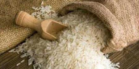 بالبلدي: عاجل.. مفاجأة في أسعار الأرز الشعير اليوم السبت 18-5-2024