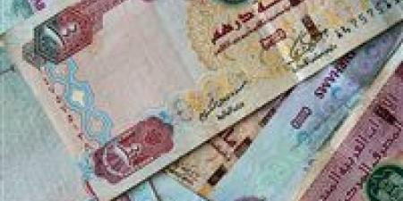 بالبلدي : سعر الدرهم الاماراتي اليوم السبت 18 مايو في البنوك