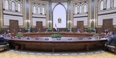 بالبلدي : الرئيس السيسي يلتقي أعضاء مجلس أمناء مكتبة الإسكندرية