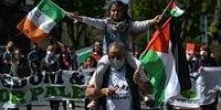 بالبلدي : خلال أيام قليلة.. أيرلندا تستعد للاعتراف بدولة فلسطين