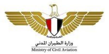 بالبلدي: «الهجرة»: موافقة وزارة الطيران على توفير خط مباشر إلى سول ولوس انجلوس