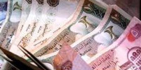بالبلدي : سعر الدرهم الإماراتي مقابل الجنيه اليوم الأحد 26 مايو 2024