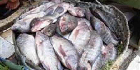 بالبلدي: سعر السمك اليوم الأربعاء 29 - 5 – 2024 في السوق المصري