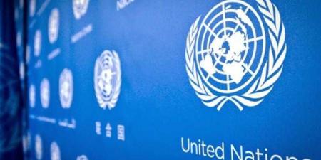 الأمم المتحدة تشيد بسجل مصر في الإسهام بعمليات حفظ السلام أكثر من 60 عاما