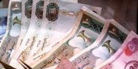 بالبلدي : سعر الدرهم الإماراتي أمام الجنيه في البنوك اليوم السبت 1 يونيو 2024