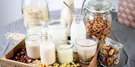 بالبلدي : يوم الحليب العالمي 2024.. تعرف على بدائل اللبن الخالية من اللاكتوز