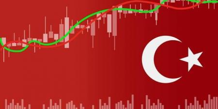 التضخم في تركيا يقفز إلى 75% مع توقعات بوصوله الذروة بالبلدي | BeLBaLaDy