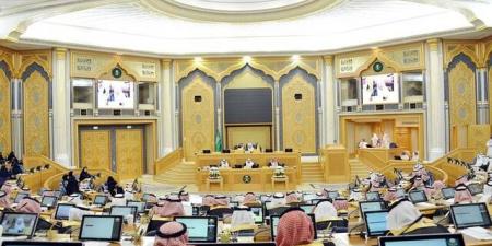 الشورى يطالب وزارة "الموارد البشرية" بمراجعة شروط الحصول على الضمان المطور بالبلدي | BeLBaLaDy