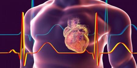 بالبلدي : أسباب تضخم عضلة القلب.. ارتفاع ضغط الدم أبرزها