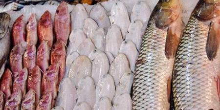بالبلدي : أسعار السمك اليوم السبت 8 يونيو 2024 في الأسواق