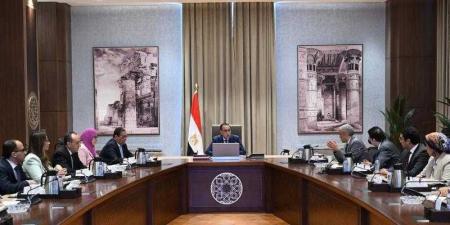بالبلدي : رئيس الوزراء يلتقي مسئولي مجموعة ”العربي”