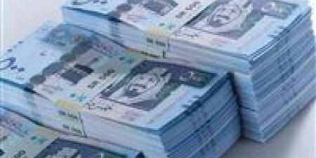 بالبلدي: سعر الريال السعودي مقابل الجنيه اليوم الاثنين 10-6-2024 في البنوك