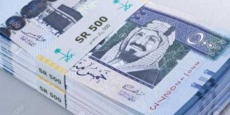 بالبلدي : سعر الريال السعودي أمام الجنيه اليوم الثلاثاء