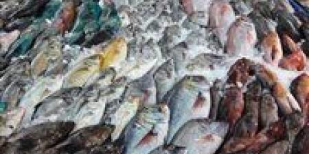 بالبلدي: سعر السمك اليوم الثلاثاء 11 - 6 – 2024 في السوق المصري
